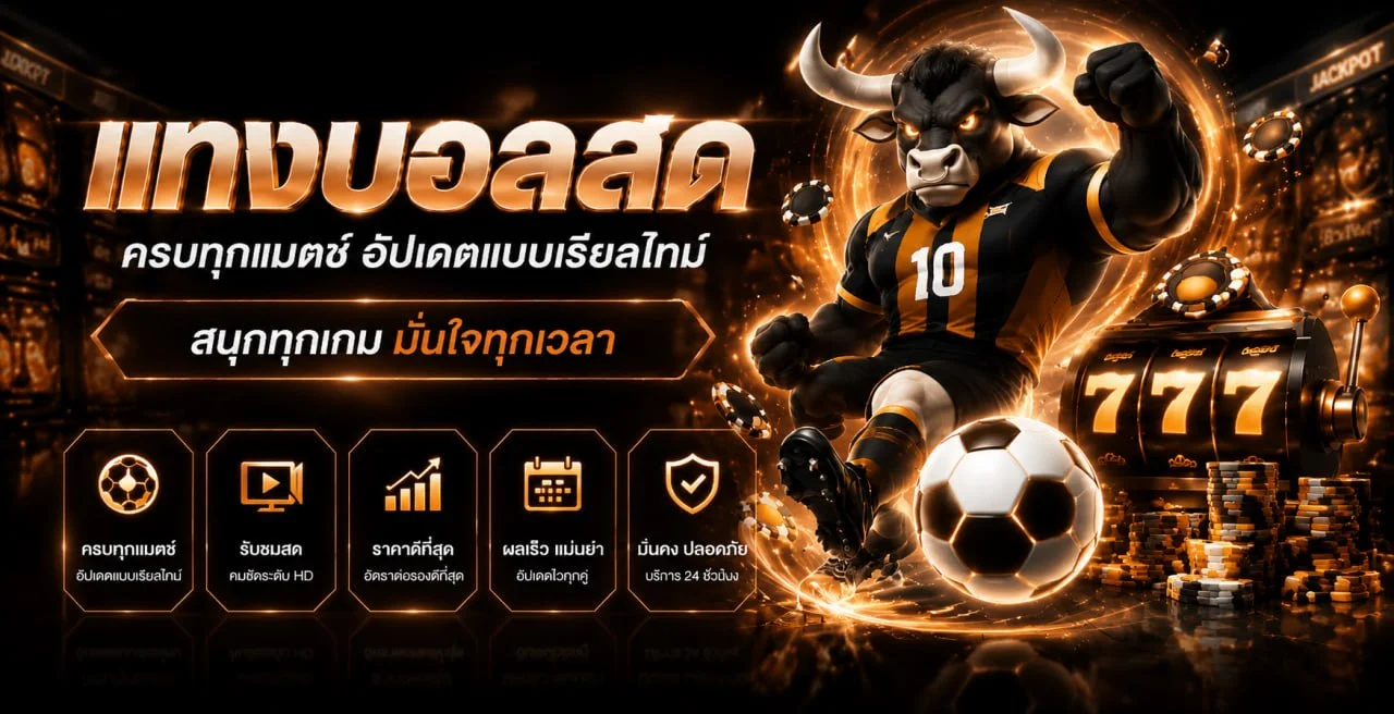 ฟีเจอร์เด่น